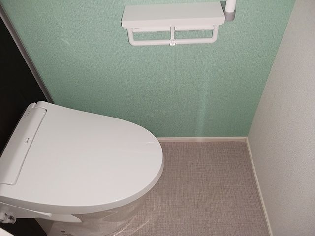 Amrita Vのトイレ写真
