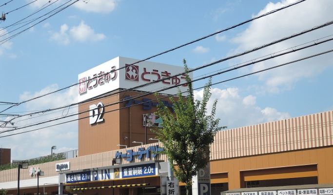 ホームセンター　ケーヨーデイツー高島平店（ホームセンター）まで603m
