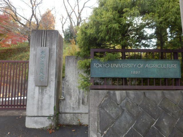 大学・短大　私立東京農業大学厚木キャンパス（大学・短大）まで1312m