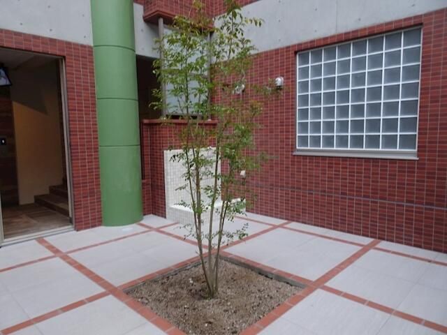 庭