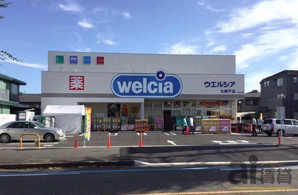 ドラックストア　ウエルシア北坂戸店（ドラッグストア）まで860m