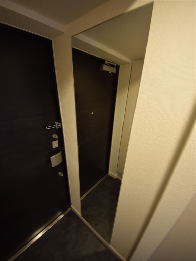 その他　アドバンス大阪ソルテ　玄関姿見付き