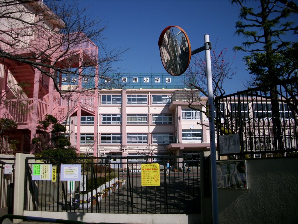 小学校　豊島区立巣鴨小学校（小学校）まで826m