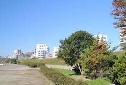公園　多摩川大橋緑地（公園）まで1237m