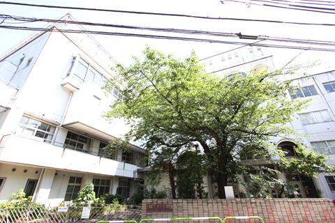 小学校　文京区立湯島小学校（小学校）まで275m
