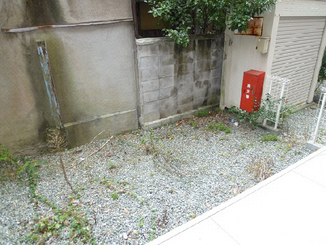庭