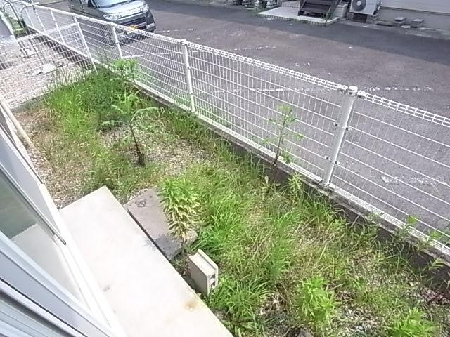 庭