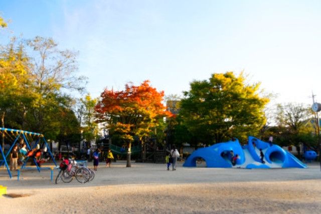 公園　小岩公園（公園）まで570m