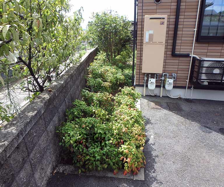 庭