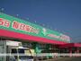 その他　ディスカウントドラッグコスモス大津店（その他）まで1000m