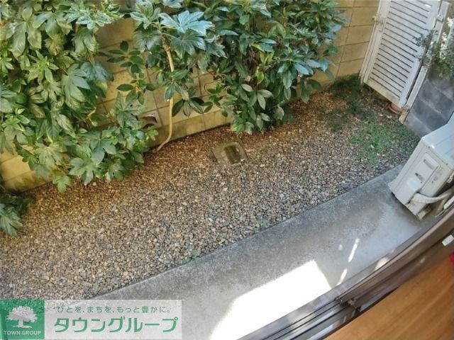 庭
