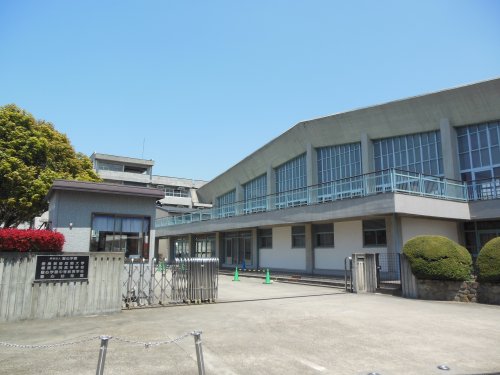 大学・短大　私立奈良芸術短期大学（大学・短大）まで553m