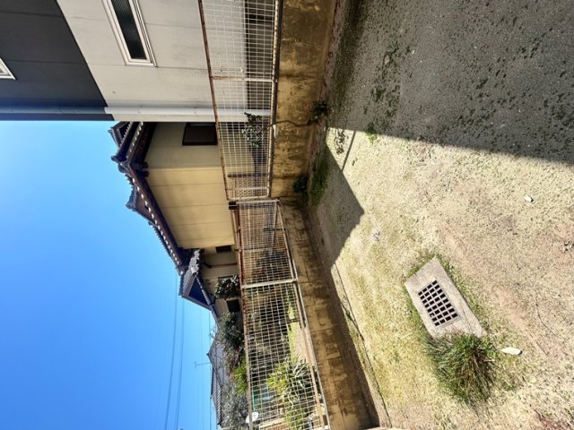 庭