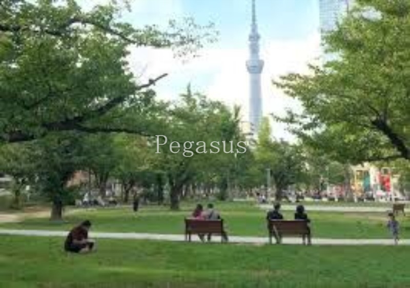 公園　錦糸公園（公園）まで909m