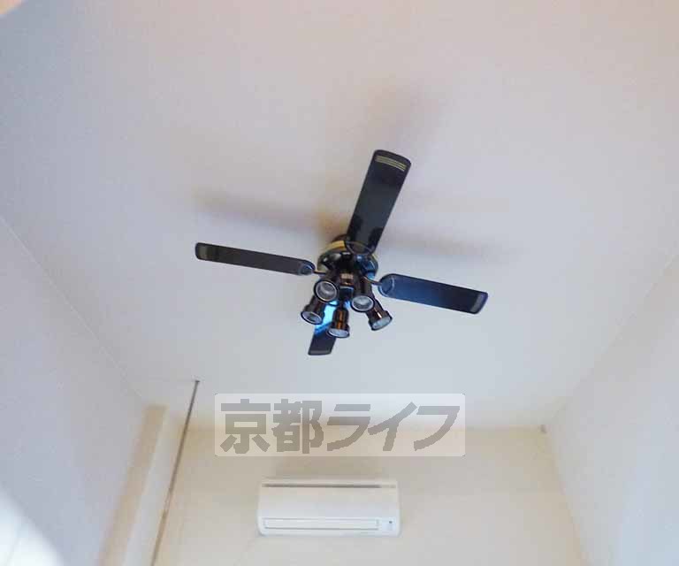 その他　ファンです。