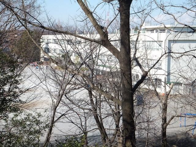 小学校　鶴川第４小学校（小学校）まで400m