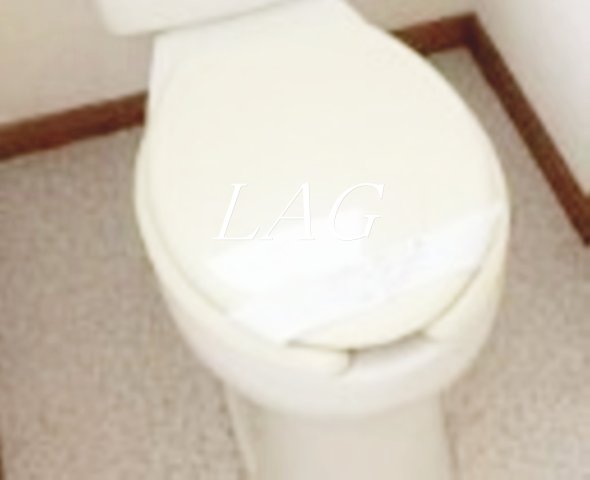 トイレ　トイレです。