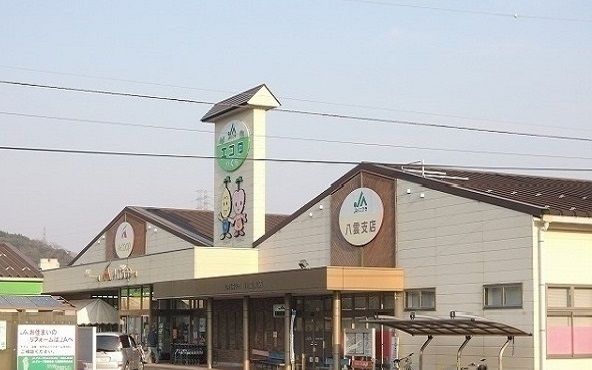 スーパー　Ａコープやくも（スーパー）まで800m