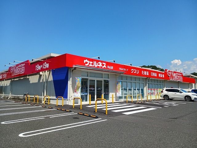 ドラックストア　ウェルネス 丸山店（ドラッグストア）まで3300m
