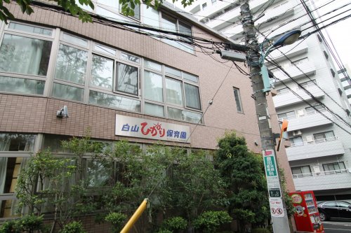 幼稚園・保育園　白山ひかり保育園（幼稚園・保育園）まで447m