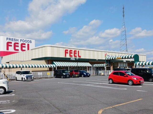 スーパー　フィール 岡崎大和店（スーパー）まで950m
