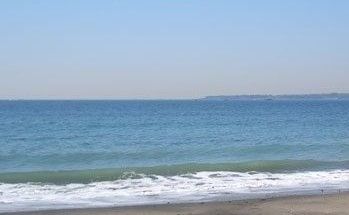 その他　三浦海岸（その他）まで850m