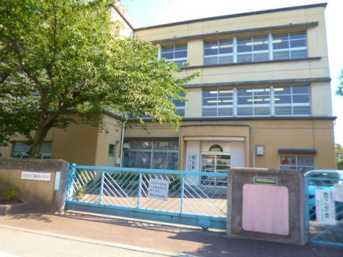 小学校　西宮市立鳴尾小学校（小学校）まで617m
