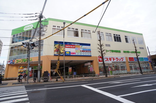 スーパー　コープ府中寿町店（スーパー）まで602m