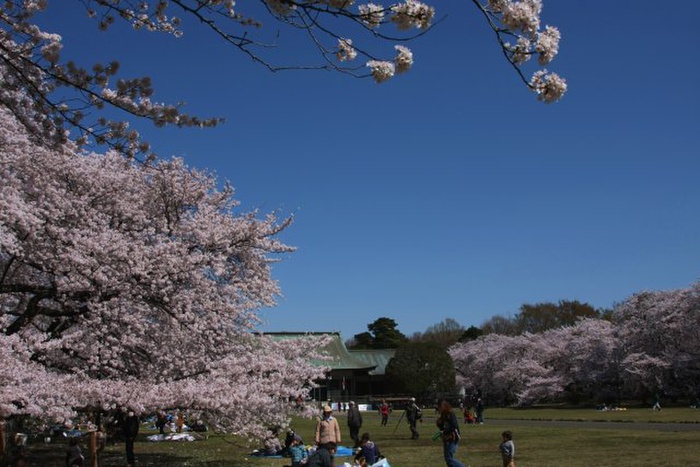 公園　小金井公園（公園）まで1000m
