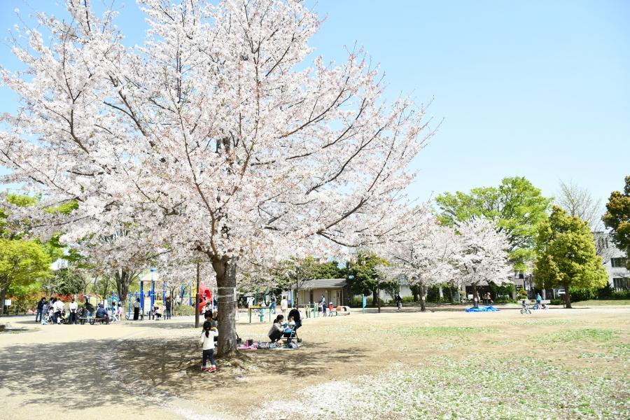 公園　西ヶ原みんなの公園（公園）まで2192m
