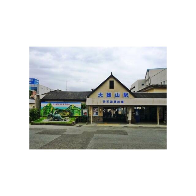 その他　大雄山線「大雄山駅」画像（その他）まで320m