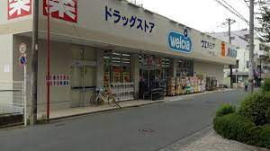 ドラックストア　ウエルシア川崎平間店（ドラッグストア）まで573m