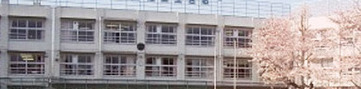 小学校　渋谷区立上原小学校（小学校）まで505m
