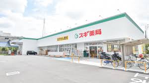 ドラックストア　スギ薬局 尼崎西立花店（ドラッグストア）まで357m