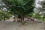 公園　城山公園（公園）まで475m