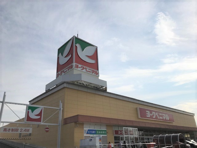 スーパー　ヨークベニマル遠見塚店（スーパー）まで264m
