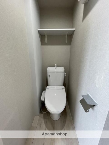 ＪＲ山手線 巣鴨駅 徒歩6分 5階建 築3年のトイレ写真