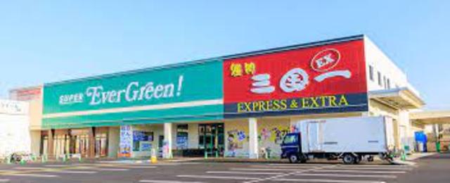 ドラックストア　スーパーエバグリーン古屋店（ドラッグストア）まで1043m