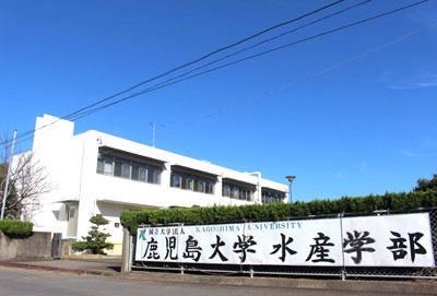 大学・短大　国立大学法人鹿児島大学水産学部（大学・短大）まで922m