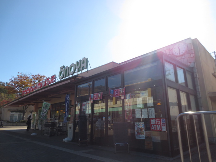 スーパー　大野屋菅田店（スーパー）まで1100m