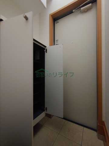 玄関　パームグローブ
