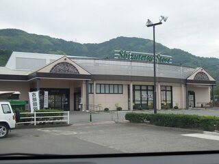 スーパー　しずてつストア興津店（スーパー）まで1100m