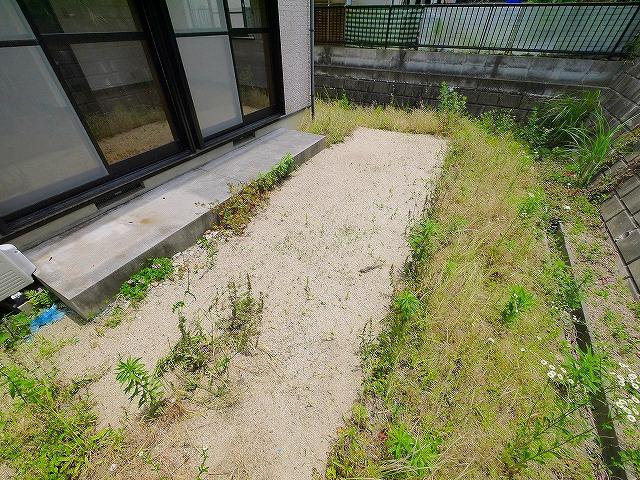 庭　お庭です