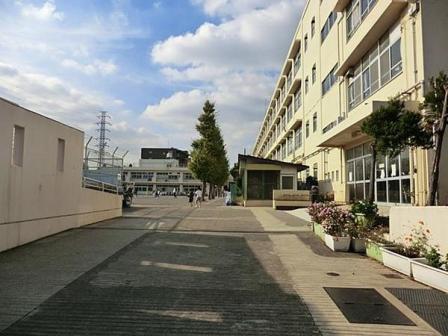 小学校　横浜市立日吉南小学校（小学校）まで438m