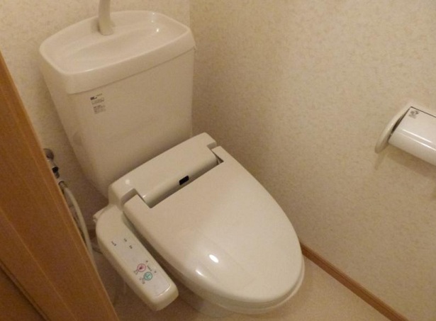 ヴィラアクティブ・エフIIのトイレ写真
