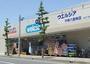 ドラックストア　ウエルシア平塚八重咲店（ドラッグストア）まで274m