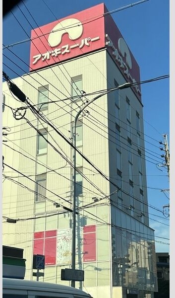 Serena NAKAMACHIのその他写真