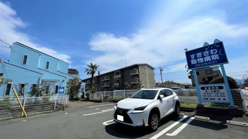 病院　すぎさわ動物病院（病院）まで539m