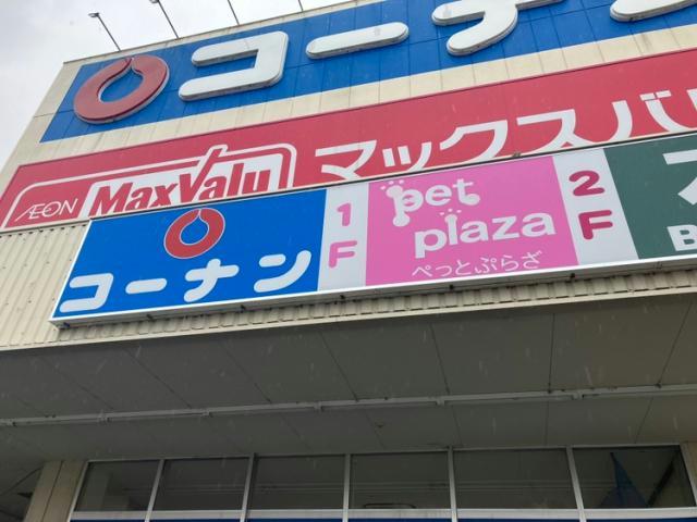 ホームセンター　ホームセンターコーナン南十番町店（ホームセンター）まで306m