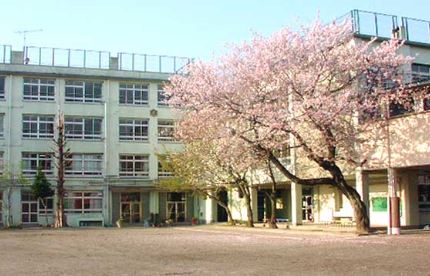 中学校　笹塚中学校（中学校）まで550m